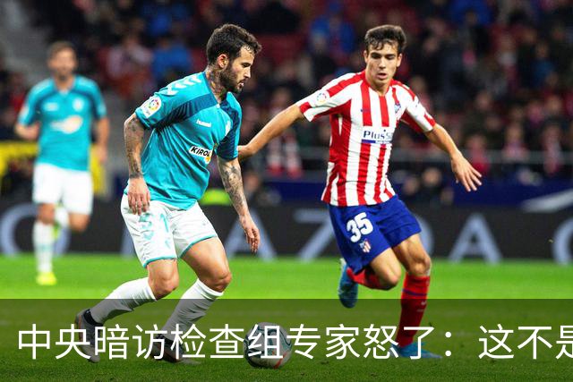 中央暗访检查组专家怒了：这不是开玩笑吗？