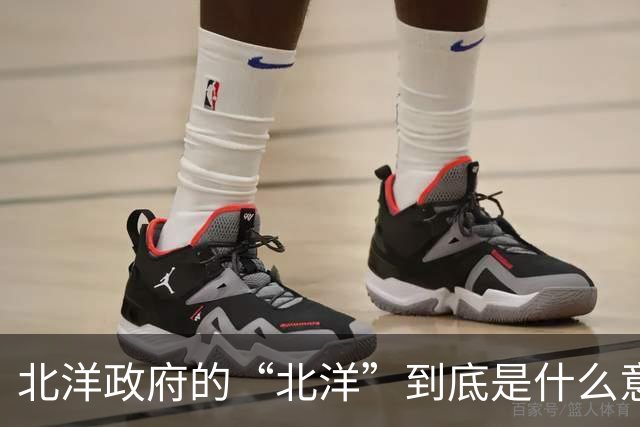 北洋政府的“北洋”到底是什么意思？不是北方洋人的意思