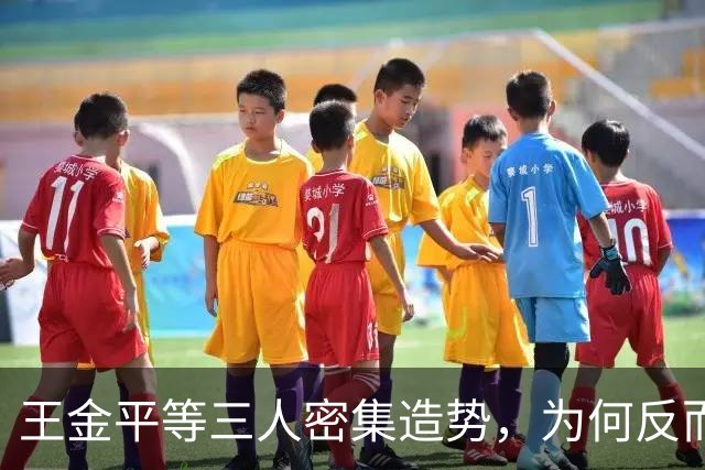 王金平等三人密集造势，为何反而坐实“蓝皮绿骨”标签？