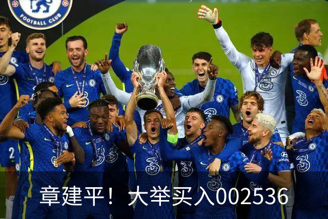 章建平！大举买入002536